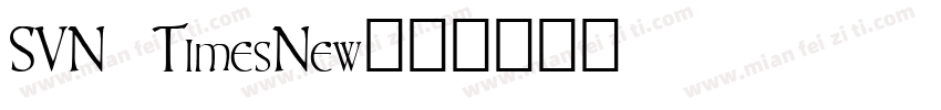 SVN TimesNew字体转换